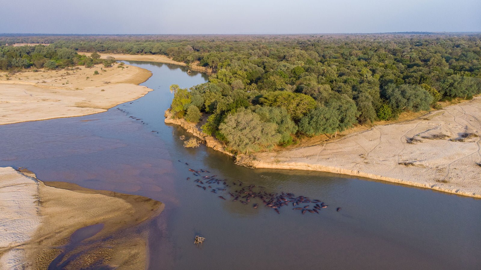 Day 5 to Day 8 – Takwela Camp in North Luangwa