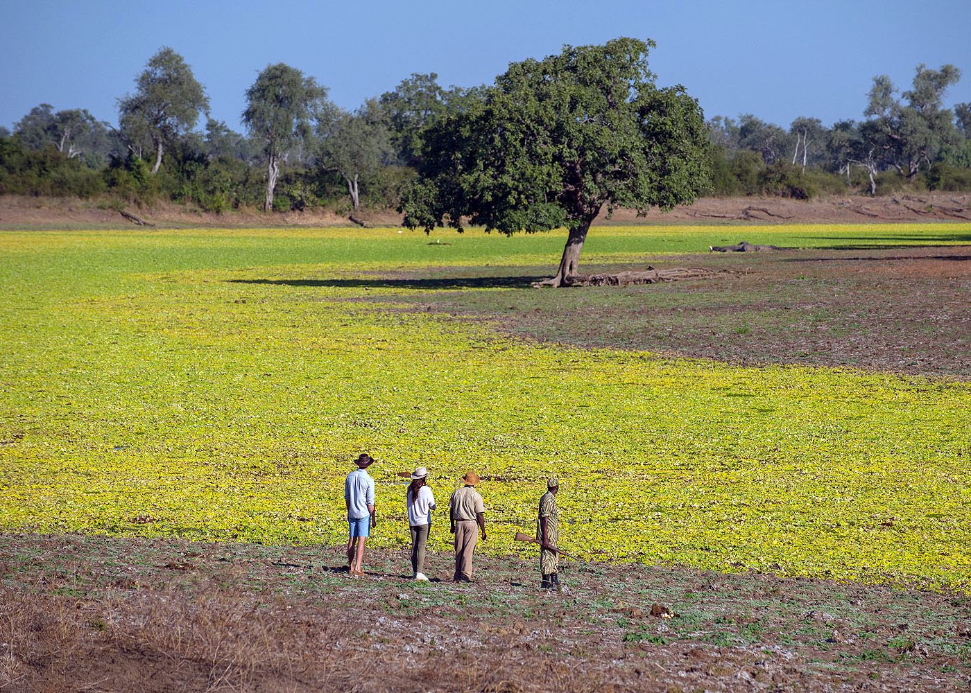 Day 2 & 3 : Nkwali Camp