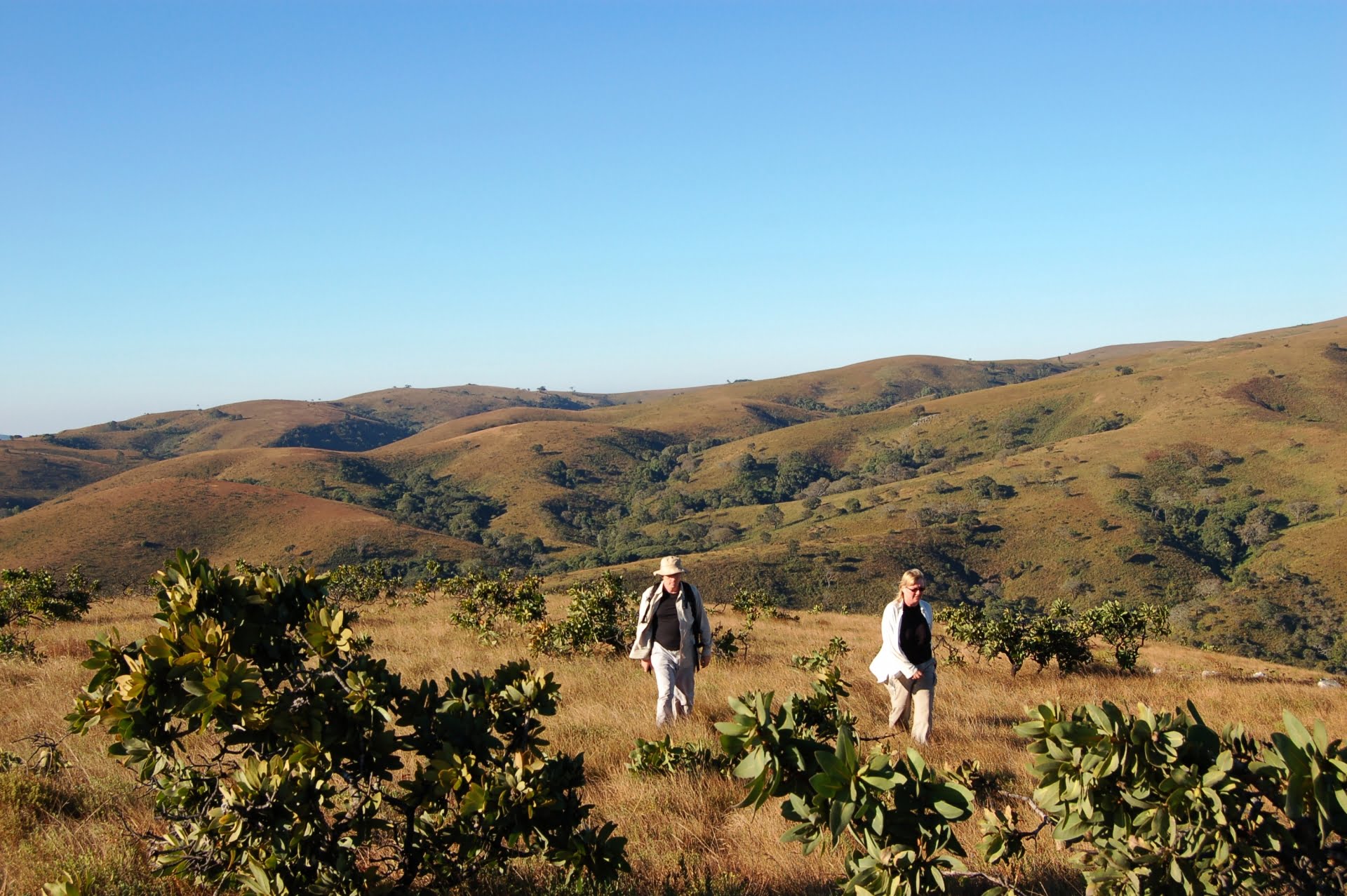 Day 5-6: Luwawa Forest Lodge, Viphya Plateau