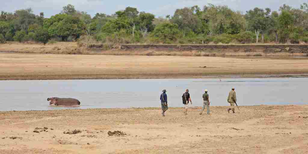 Day 4 – Road transfer from Luangwa River Camp to Mfuwe Airport