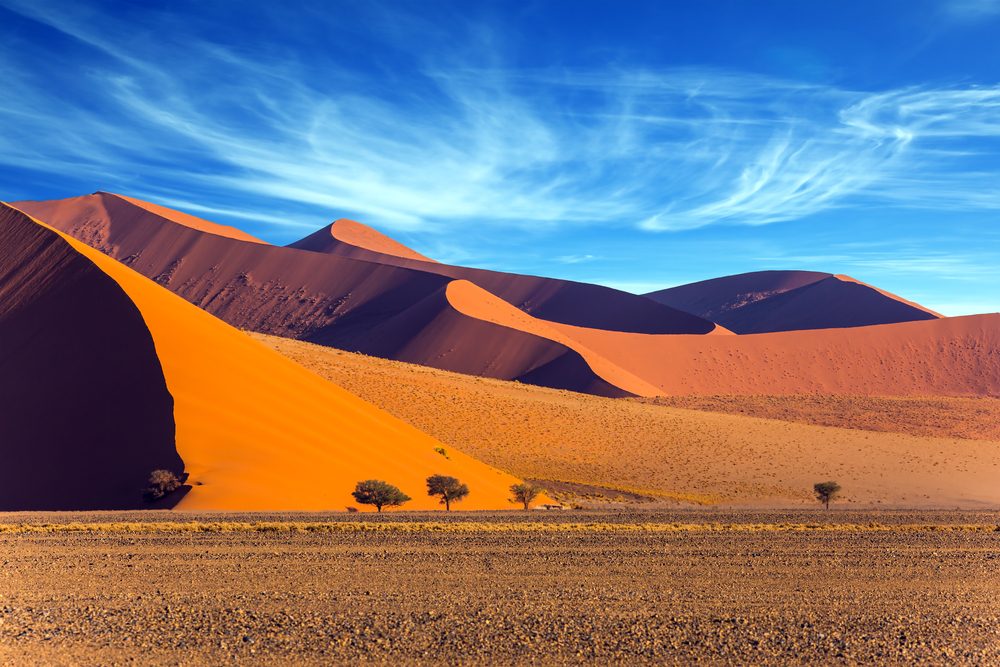  Day 11: Namib Desert – Kalahari Desert  