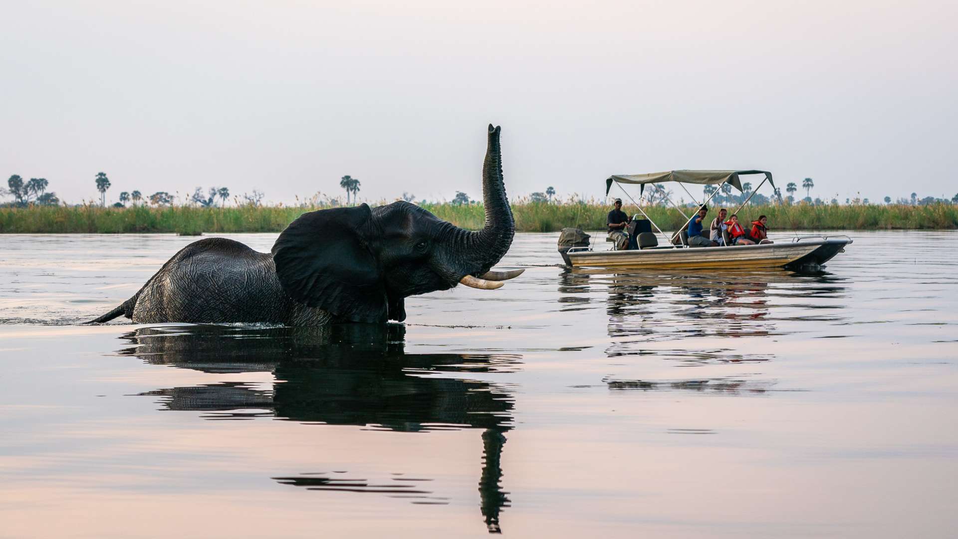 DAY 7: Chobe National Park