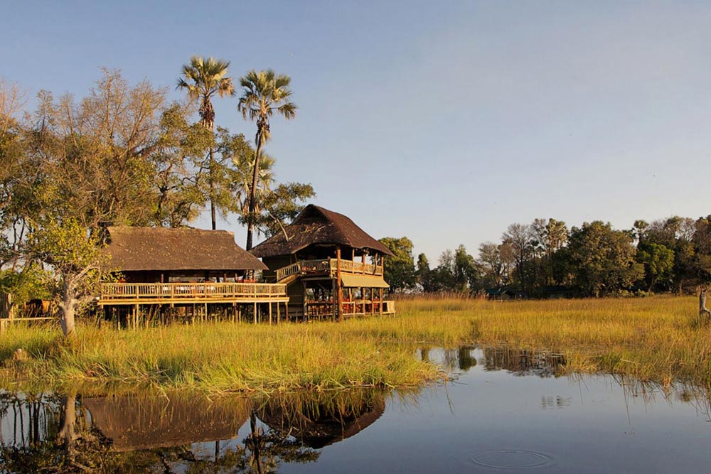 Day 7 to Day 11 – Gunn’s Camp in Okavango Delta, Botswana