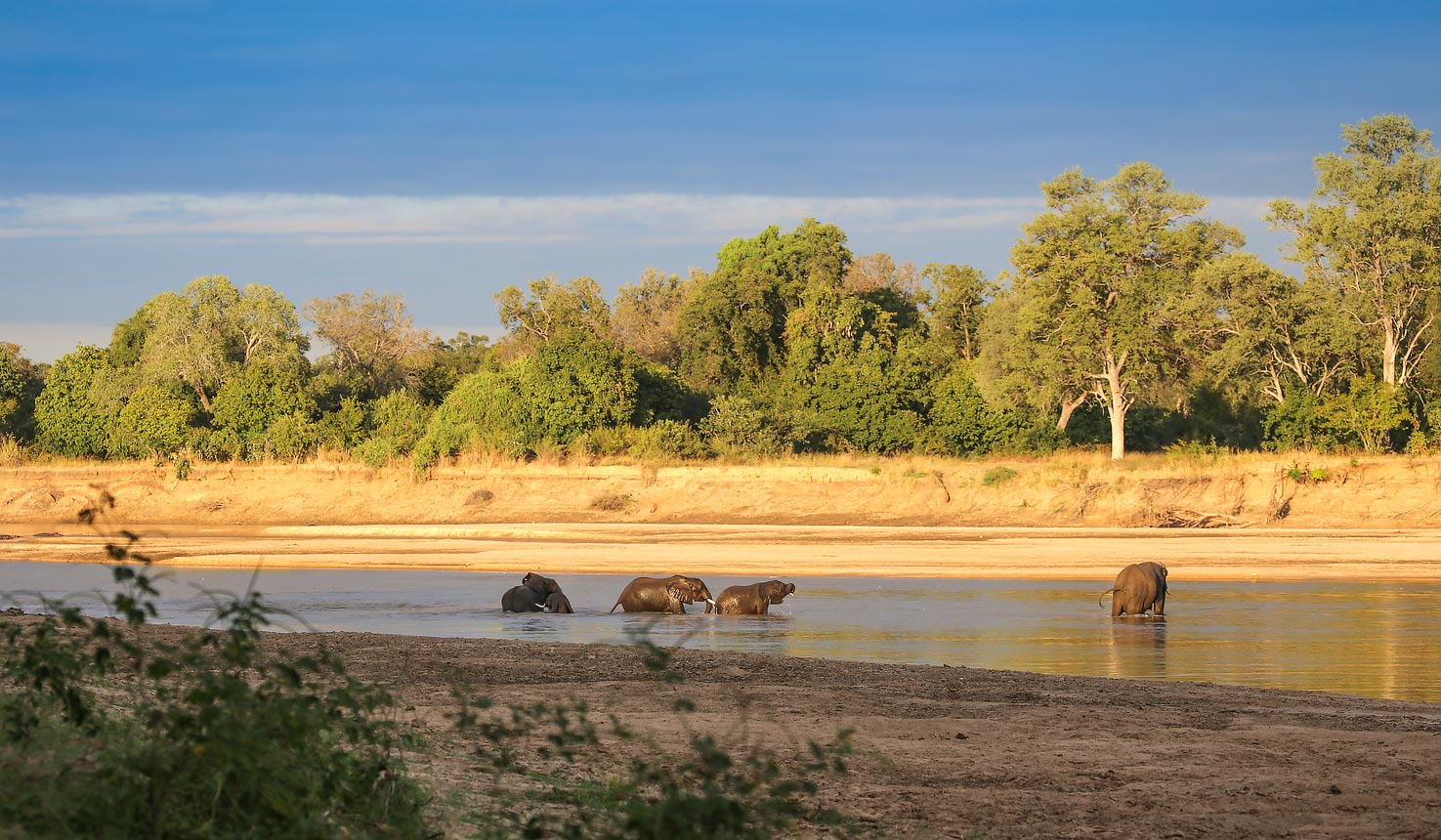 Day 1 to Day 4 - Luangwa River Camp in South Luangwa