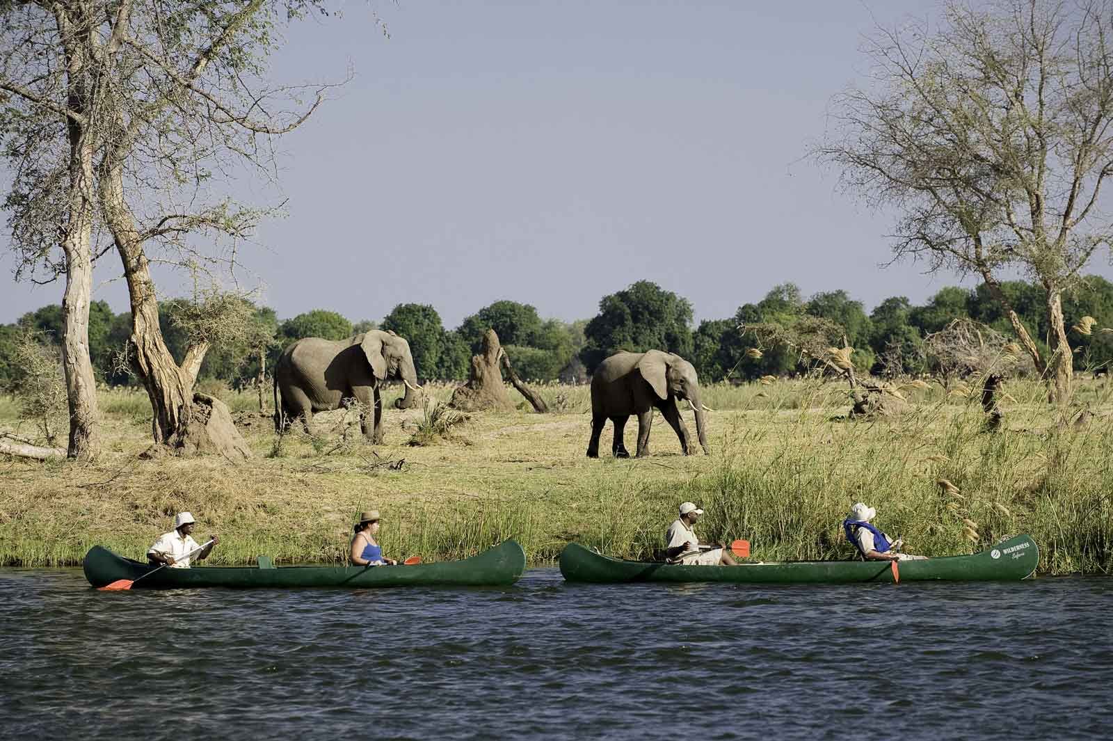 Day 03: Canoeing Safari; Game Viewing