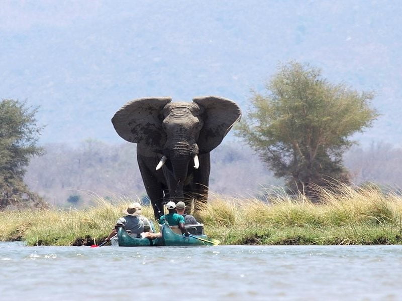5Nights/ 6Days – Great Zambezi Canoe Safari