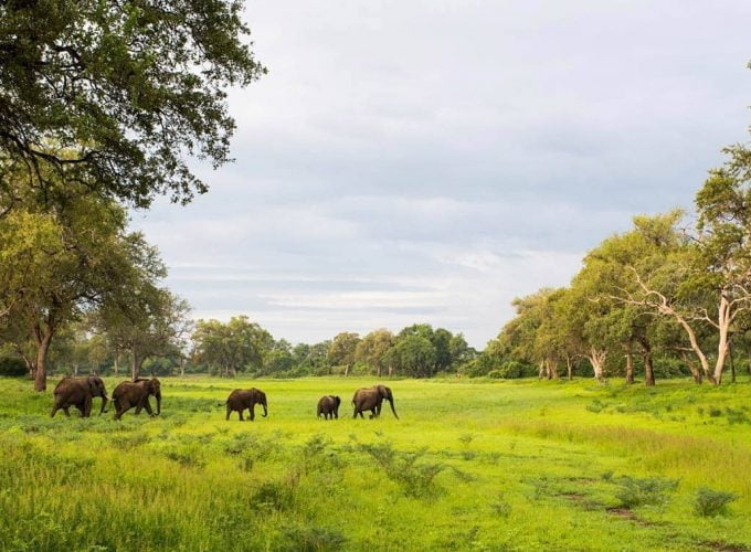 9 Nights – Green Season Safari