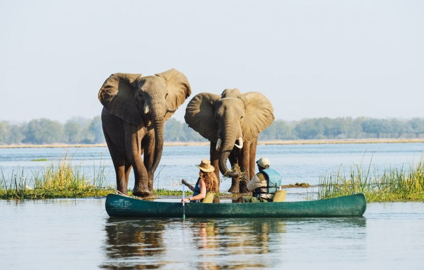 4Nights/5Days – Zambezi Canoe Safari Trail