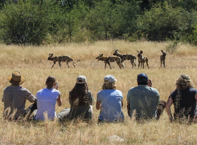 12 nights – Zambia and Zimbabwe Safari (Luxury) Tour