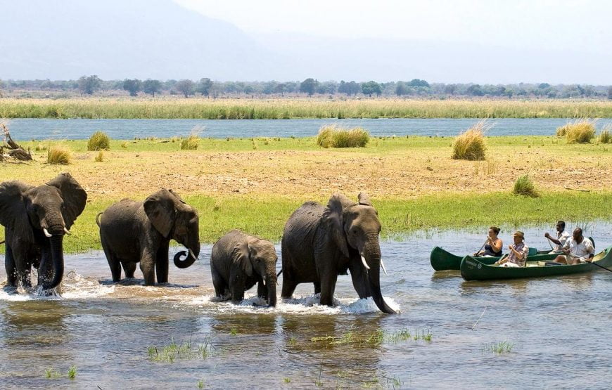 Canoe Safaris on the Upper Zambezi Tour