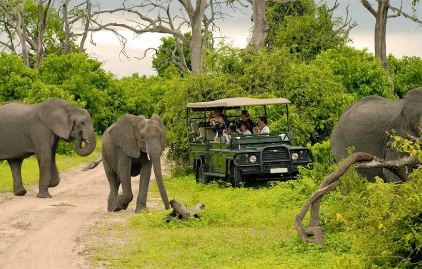 6 Nights – Zambia & Botswana Safari Tour