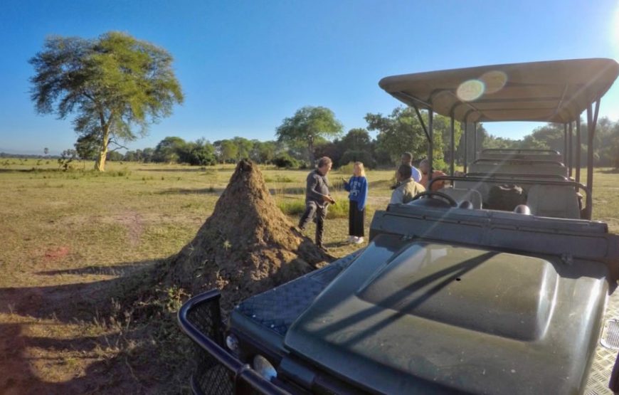 Liwonde Game Drive Tour