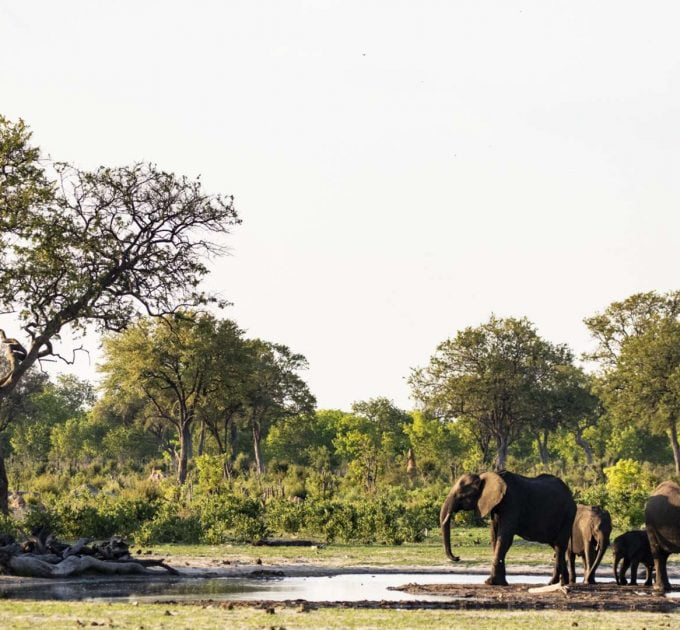 Little Makalolo Camp