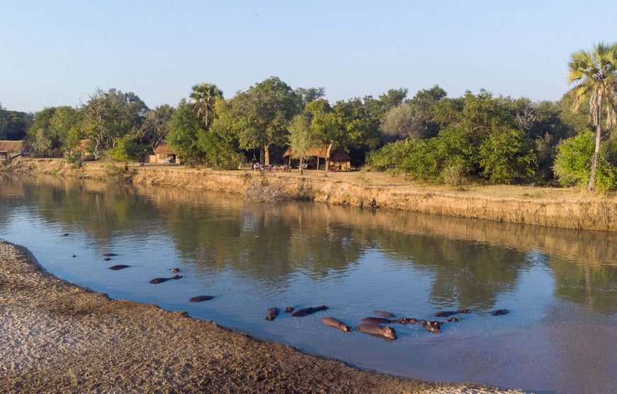 7 Nights – Exploring the North Luangwa