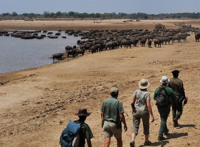 7 Nights – Exploring the North Luangwa