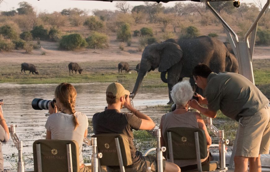 Photographic Safari Tour, Chobe River
