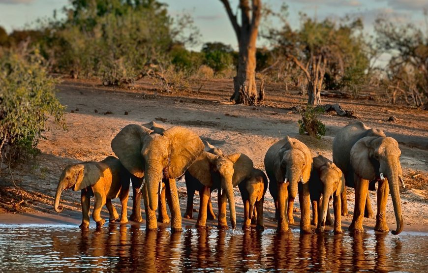 Discover Botswana Desert, Delta, Plains And Rivers Safari