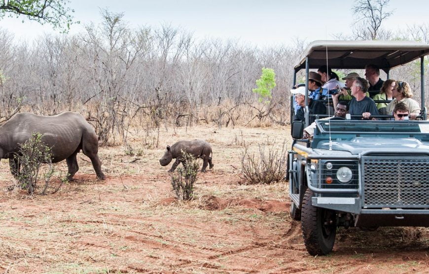 Victoria Falls Safari and Game Drives