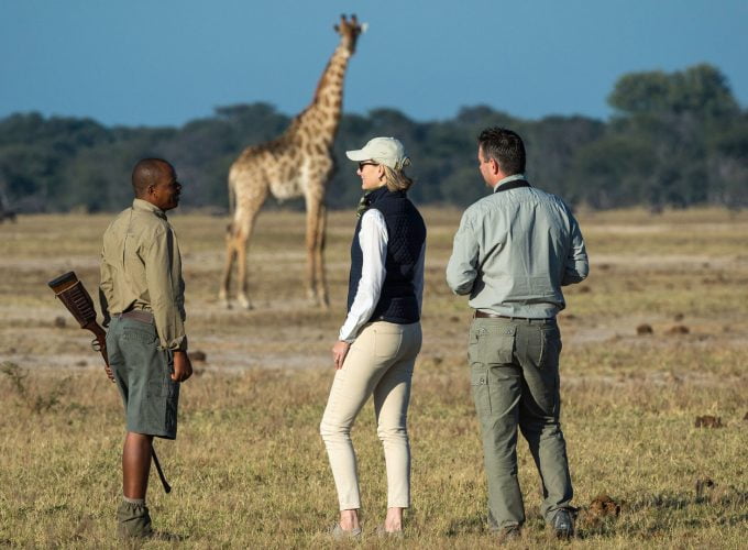 Zimbabwe’s True Wildroutes Safari