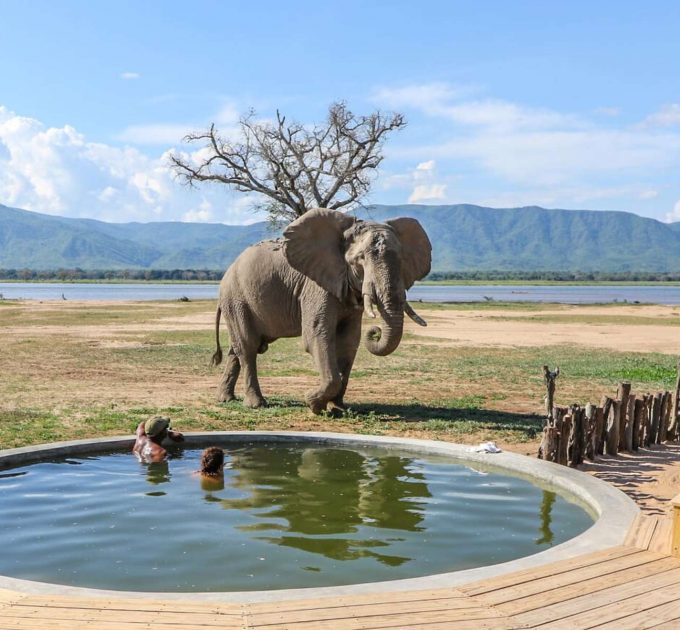 Nyamatusi Camp