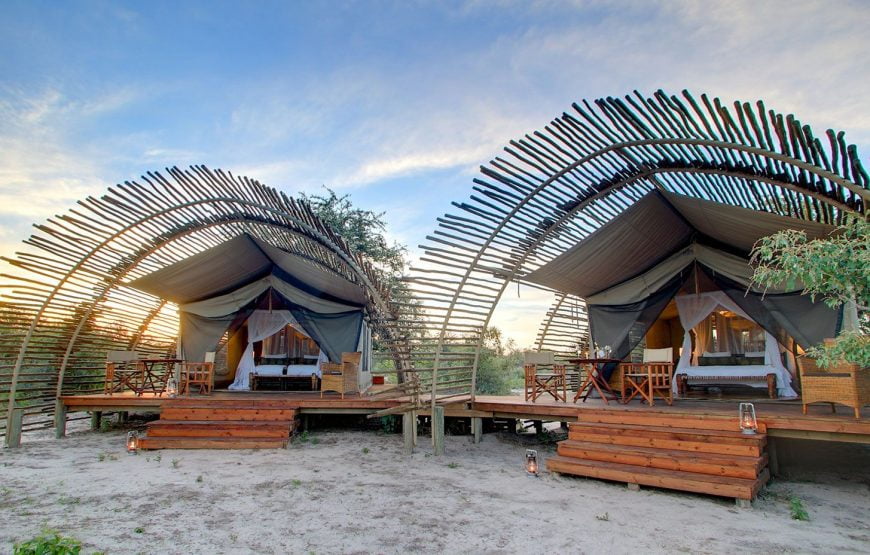 Discover Botswana Desert, Delta, Plains And Rivers Safari