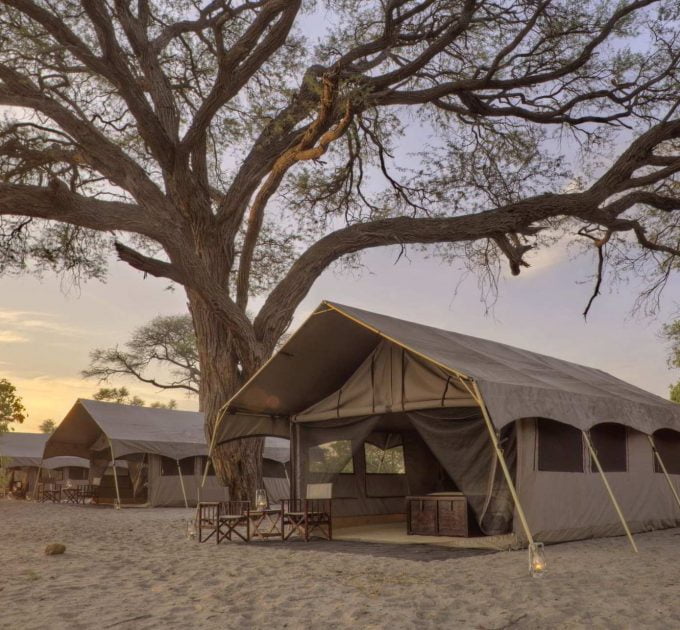 Liuwa Plains Tented Camp