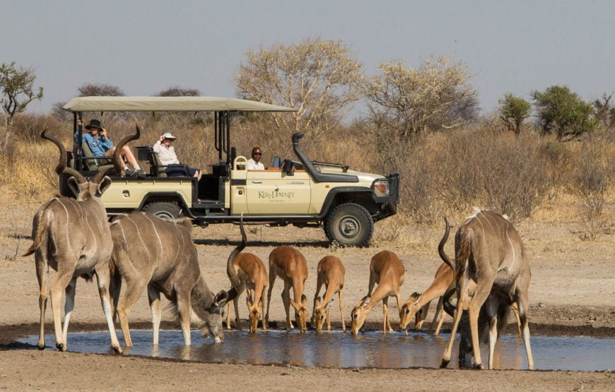Discover Botswana Desert, Delta, Plains And Rivers Safari