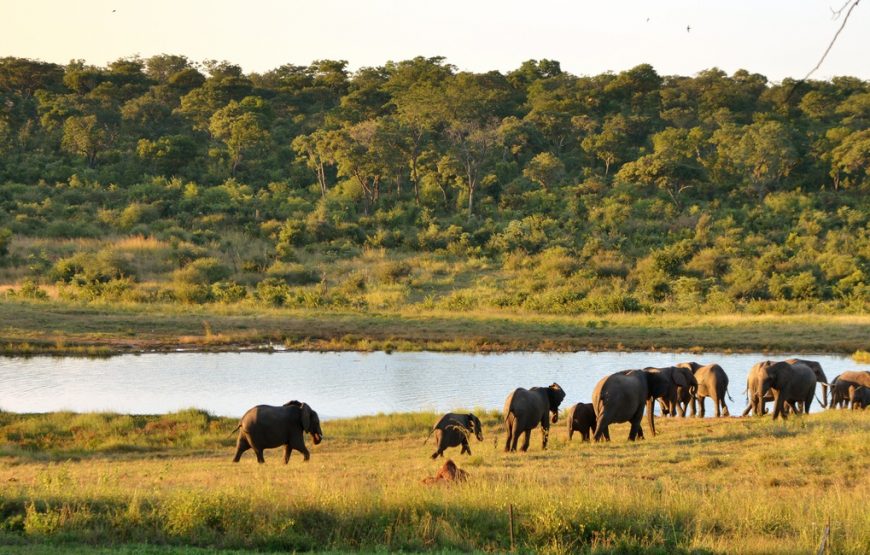 Zimbabwe Exceptional De Luxe Safari Tour