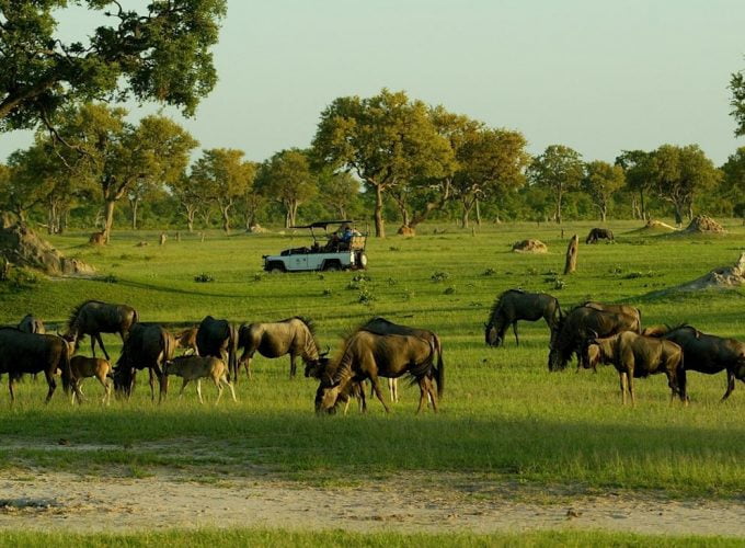 Zimbabwe Exceptional De Luxe Safari Tour