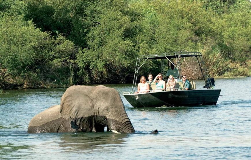 Victoria Falls River Safaris