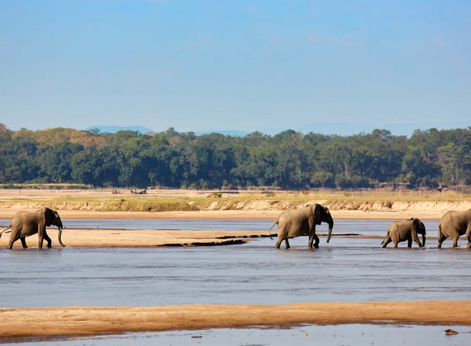 2 Nights – South Luangwa National Park Special