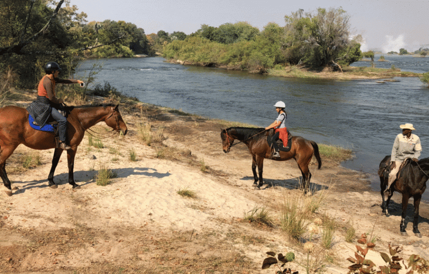 Zambezi Horse Riding