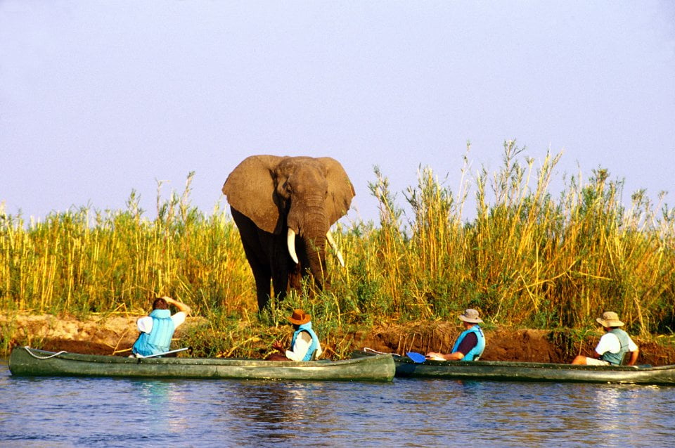 Day 1 – Transfer from Lusaka to Kiambi Safari Lodge,Lower Zambezi National Park