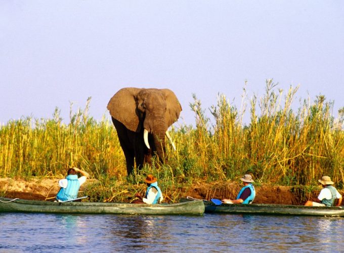 2 Nights – Lower Zambezi National Park Special