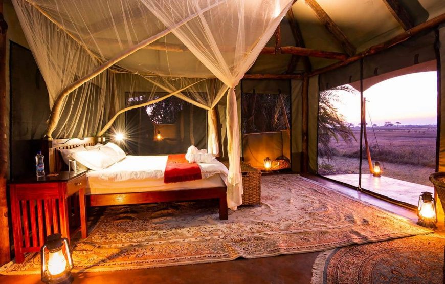 8 Nights – Exploring the Best of Kafue
