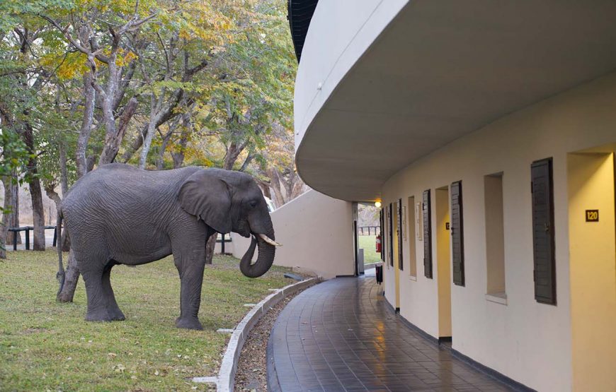 Hwange Safari Lodge