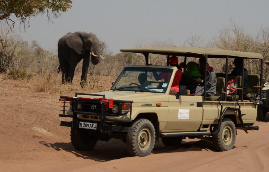 6 Nights – Zambia & Botswana Safari Tour