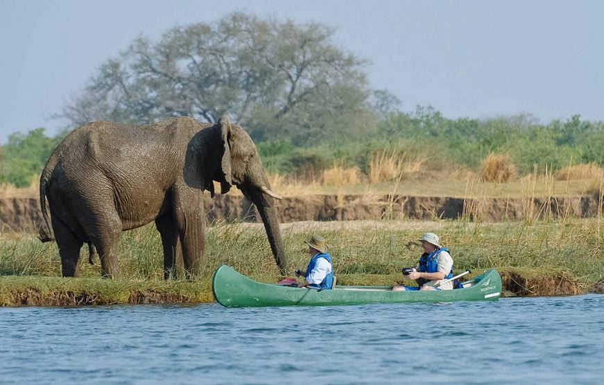 2 nights/ 3days – Zambezi Short Canoe Trail