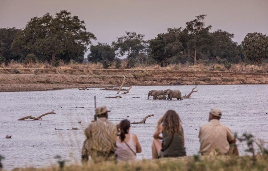 Exploring The Remote of South Luangwa