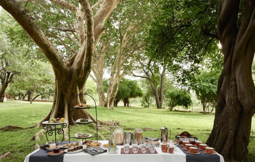 Chobe Game Lodge