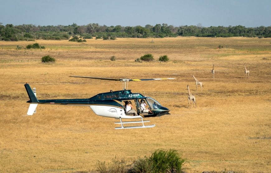 Helicopter Safari Tour