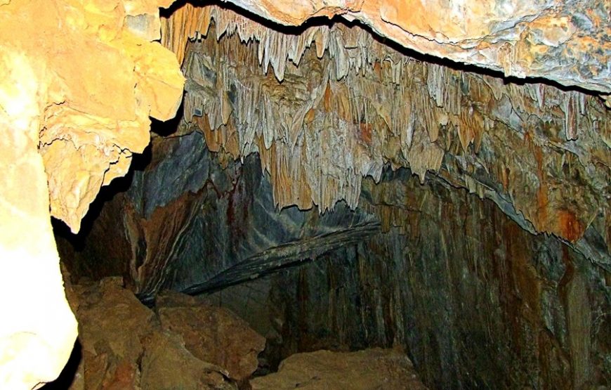 Arnhem Bat Cave Tour