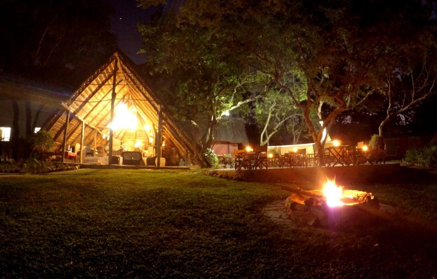 Pioneer Lodge, Camp & Safari