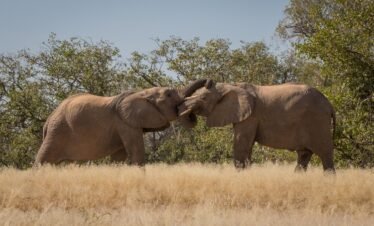 10 Nights – Namibia Horizon Tour