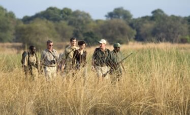 5 Nights – Terrific Budget African Tour