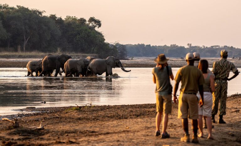 Zambia Exceptional Safari