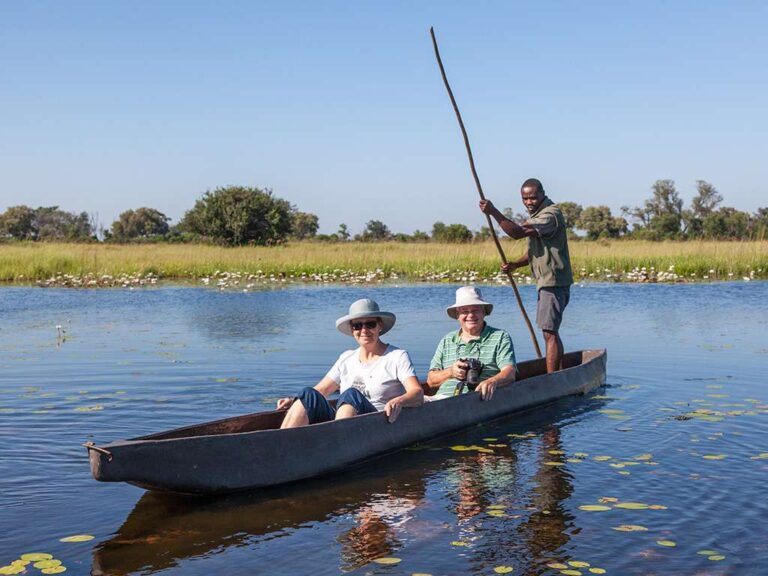 Exploring Botswana Safari Adventures