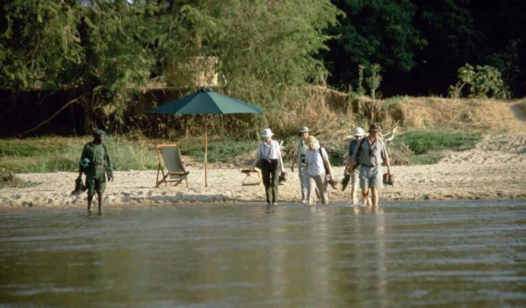 Kutandala Offers Free North Luangwa Flights for 2026